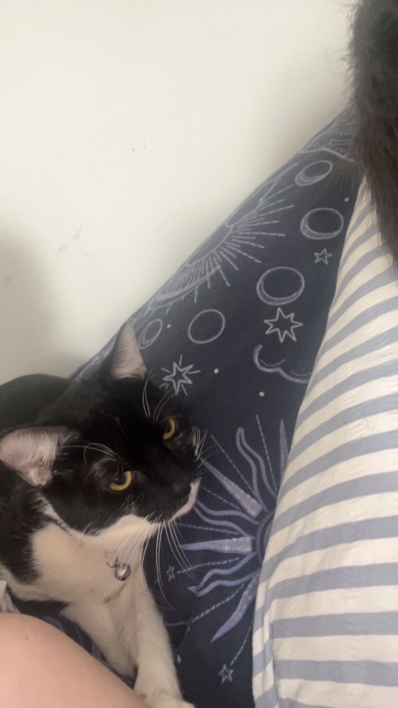 Archie - Needs a More Understanding Parent
